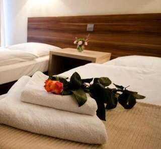 Отели типа «постель и завтрак» Adria Мыслибуж Двухместный номер с 2 отдельными кроватями-8